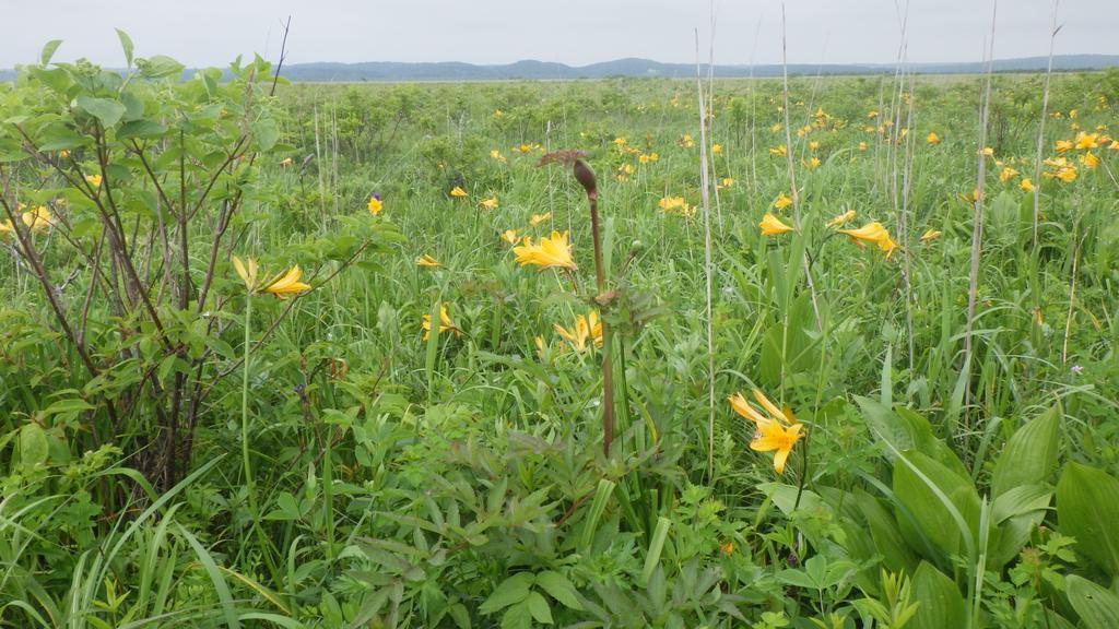 Гостевой дом Kiritappuri Hokkaido Экстерьер фото