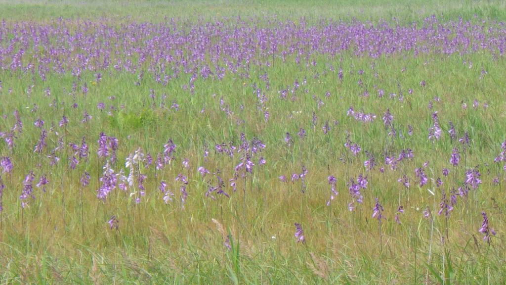 Гостевой дом Kiritappuri Hokkaido Экстерьер фото