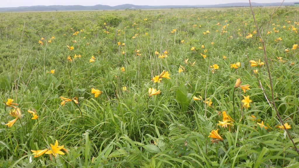 Гостевой дом Kiritappuri Hokkaido Экстерьер фото